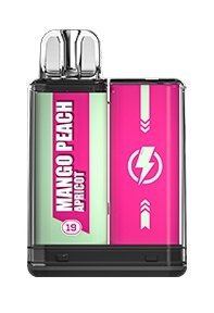 Vapengin Mercury 600 Disposable Vape Pod Box of 10 - Vapeshopdistro
